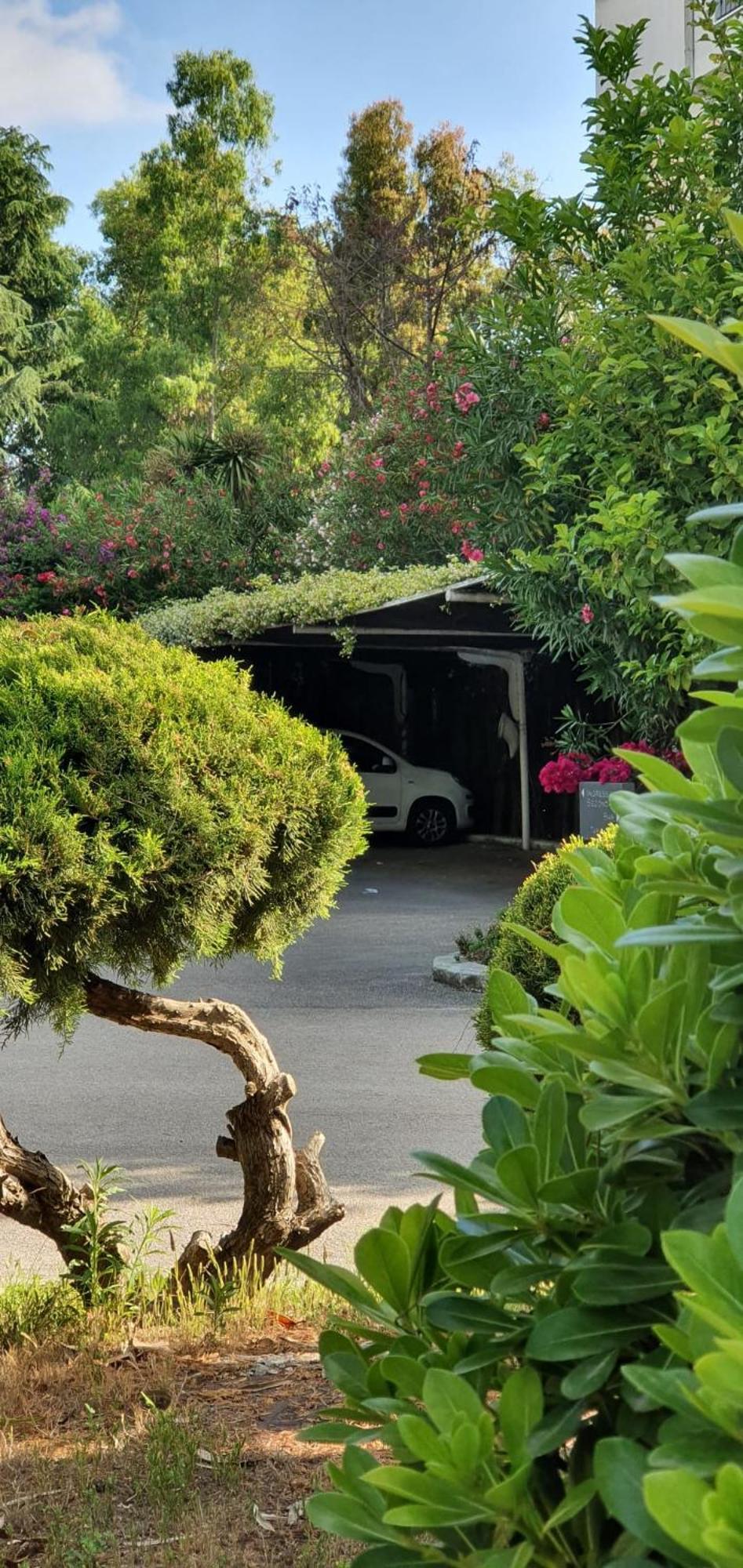 Hotel Mediterraneo كواليانو المظهر الخارجي الصورة