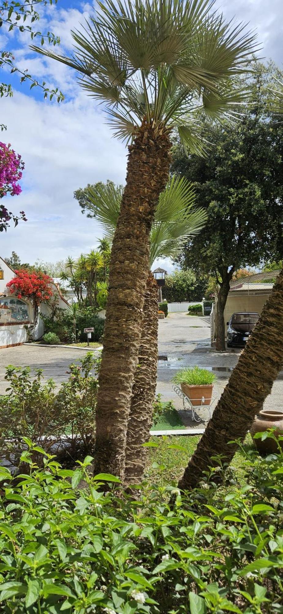 Hotel Mediterraneo كواليانو المظهر الخارجي الصورة