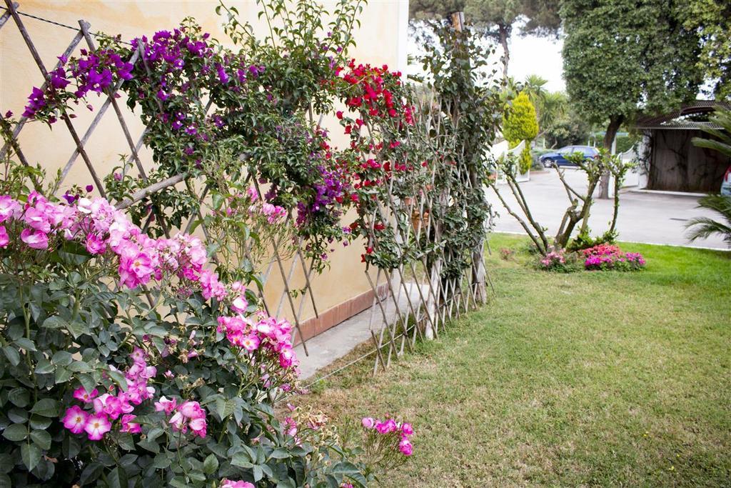 Hotel Mediterraneo كواليانو المظهر الخارجي الصورة